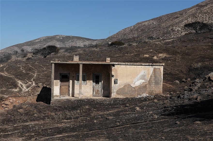 Κερατέα: Αποκαΐδια και εικόνες καταστροφής την επόμενη μέρα της μεγάλης φωτιάς - Ζημιές σε πάνω από 30 σπίτια - Φωτογραφία 8