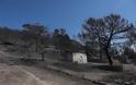 Κερατέα: Αποκαΐδια και εικόνες καταστροφής την επόμενη μέρα της μεγάλης φωτιάς - Ζημιές σε πάνω από 30 σπίτια - Φωτογραφία 9