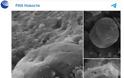 Αποδείξεις για δεύτερη Γη: Μετεωρίτης με απολίθωμα βακτηρίου παλαιότερο από το ηλιακό μας σύστημα - Φωτογραφία 2