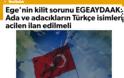 Γενί Σαφάκ: «Επειγόντως να δοθούν τουρκικά ονόματα στα αμφισβητούμενα νησιά» - Φωτογραφία 1