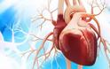 ΑΠΘ : Ψηφιακές εφαρμογές και τεχνητή νοημοσύνη στην υπηρεσία της πρόβλεψης και διαχείρισης καρδιακών παθήσεων