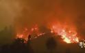 Καλιφόρνια: Η «Glass Fire» κατακαίει την κοιλάδα της Νάπα φωτός - Φωτογραφία 6