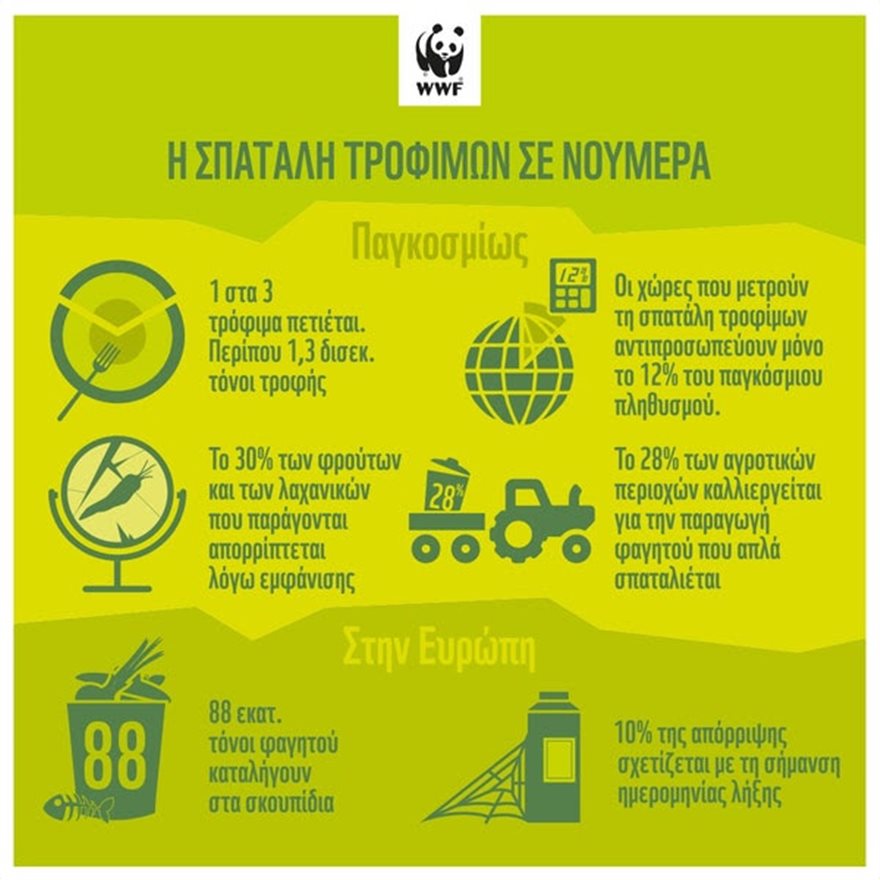 WWF Greece: 88 εκατ. τόνοι τροφής καταλήγουν στα σκουπίδια ετησίως στην ΕΕ - Φωτογραφία 3