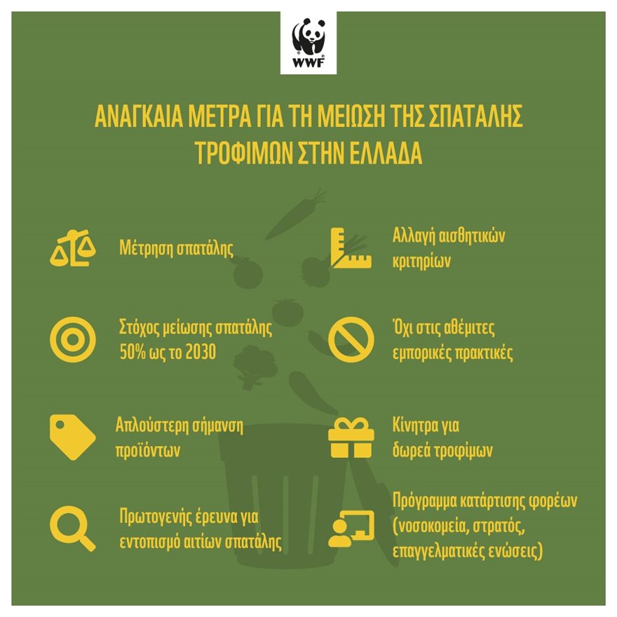 WWF Greece: 88 εκατ. τόνοι τροφής καταλήγουν στα σκουπίδια ετησίως στην ΕΕ - Φωτογραφία 4