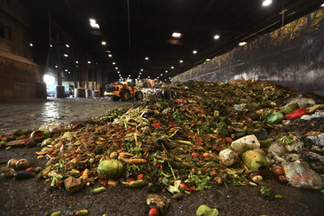 WWF Ελλάς: στην Ευρώπη 88 εκατομμύρια τόνοι τροφίμων ετησίως καταλήγουν στα σκουπίδια - Φωτογραφία 1