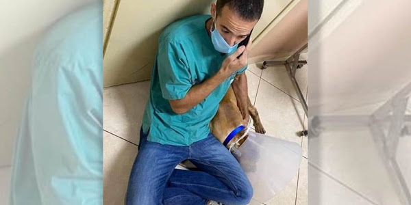 Ο ήρωας γιατρός και ο εθελοντής που έσωσαν το σκυλί που ασυνείδητοι βασάνισαν στα Χανιά - Φωτογραφία 1