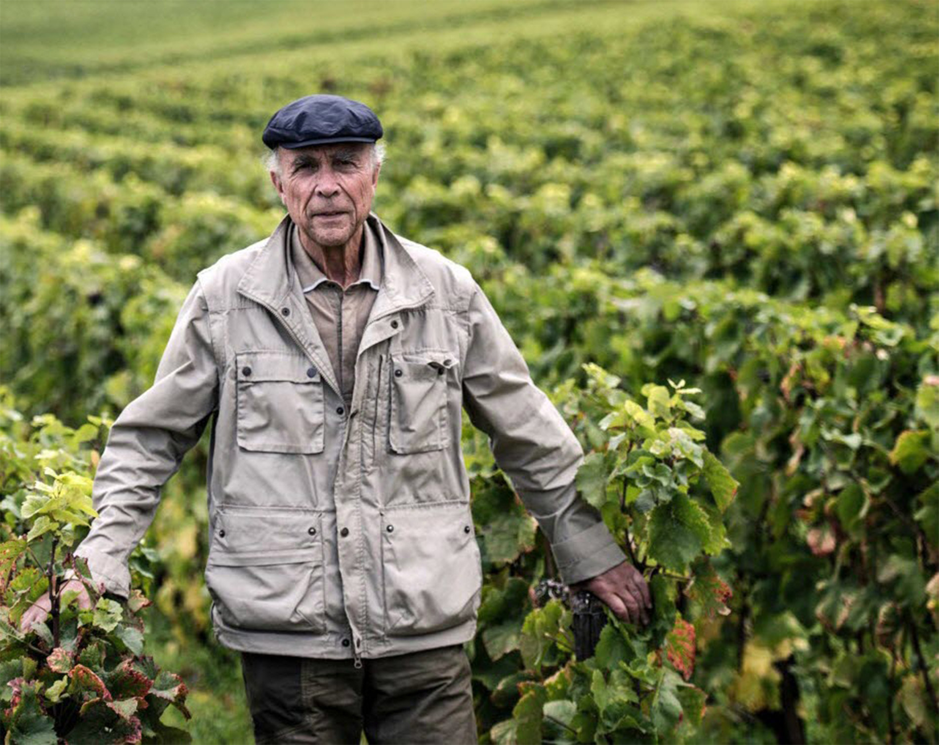 Έγκλημα στη Βουργουνδία: Ο άνθρωπος που ήθελε να δηλητηριάσει το ακριβότερο κρασί του κόσμου - Φωτογραφία 8