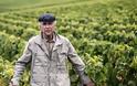 Έγκλημα στη Βουργουνδία: Ο άνθρωπος που ήθελε να δηλητηριάσει το ακριβότερο κρασί του κόσμου - Φωτογραφία 8
