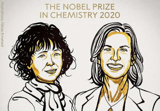 Νόμπελ Χημείας 2020: βακτηρίδια, διδάξτε μας σοφία! - Φωτογραφία 1