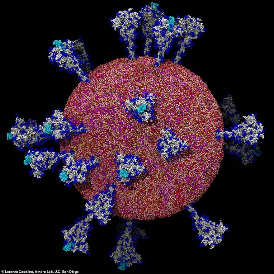 Νέες απίστευτα λεπτομερείς εικόνες του ιού από Κινέζους επιστήμονες - Φωτογραφία 2