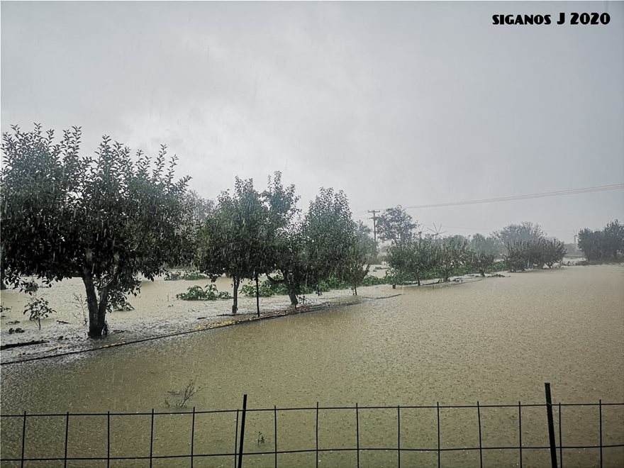 Κρήτη: Πλημμύρες και εγκλωβισμοί στο Οροπέδιο Λασιθίου - - Φωτογραφία 3