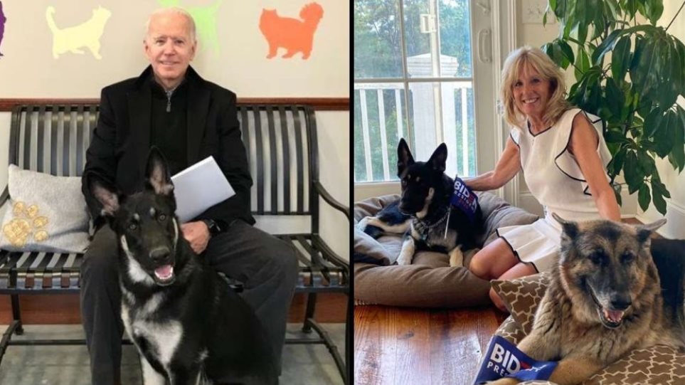Επιστρέφουν τα κατοικίδια στον Λευκό Οίκο - Δείτε τα δύο σκυλιά της οικογένειας Μπάιντεν - Φωτογραφία 1