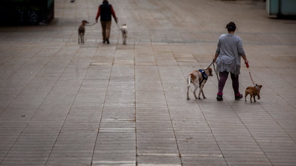 Έρευνα: Κατά 78% αυξάνεται η πιθανότητα να κολλήσουν κορωνοϊό όσοι βγάζουν τον σκύλο βόλτα - Φωτογραφία 1