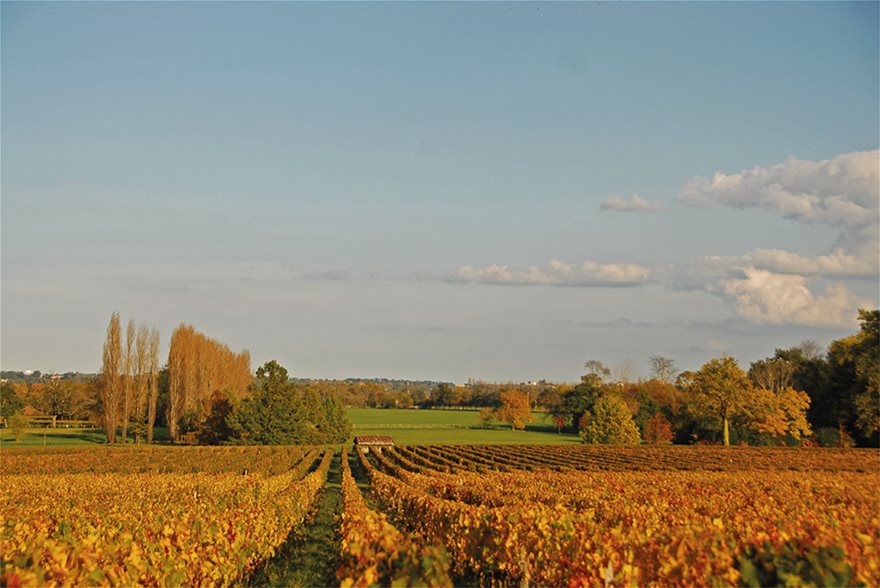 Château Margaux: Κρασί σαν παραμύθι - Φωτογραφία 4