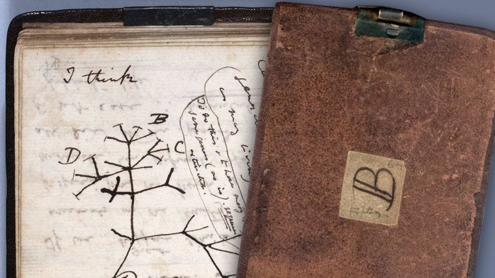 Έκλεψαν σημειωματάρια του Δαρβίνου από το Πανεπιστήμιο του Κέιμπριτζ - Φωτογραφία 1