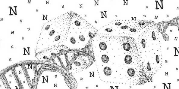 Aπό τα ζάρια στο DNA: μια βιολογική γεννήτρια τυχαίων αριθμών - Φωτογραφία 2