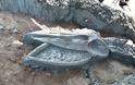 Σημαντική ανακάλυψη στην Ταϊλάνδη: Βρήκαν 12 χλμ από την ακτή σκελετό φάλαινας 5.000 χρόνων (φωτο)