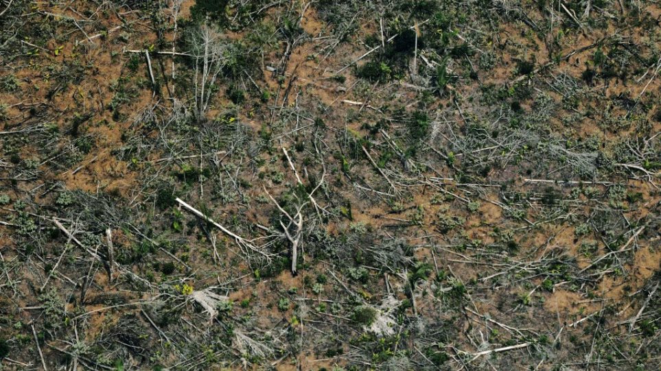 Η αποψίλωση του Αμαζονίου έφτασε το 2020 στο υψηλότερο επίπεδό της εδώ και 12 χρόνια - Φωτογραφία 1