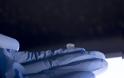 Κορωνοϊός: Δημιουργήθηκε νέα μικροσυσκευή, μεγέθους νυχιού, για μοριακά τεστ - Φωτογραφία 1