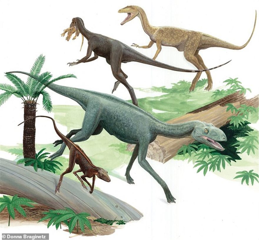 Ανακαλύφθηκε ερπετό πρόγονος του πτερόσαυρου που έζησε πριν από 237 εκατ. χρόνια - Φωτογραφία 4