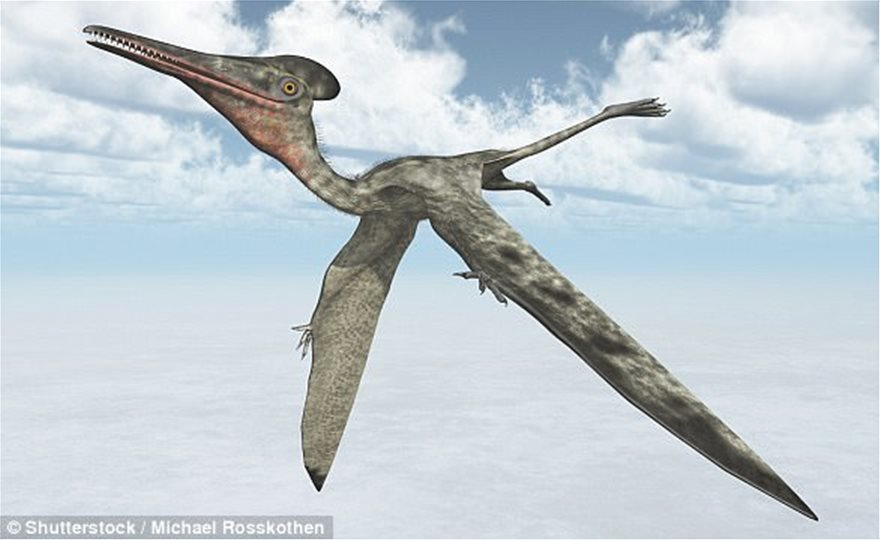 Ανακαλύφθηκε ερπετό πρόγονος του πτερόσαυρου που έζησε πριν από 237 εκατ. χρόνια - Φωτογραφία 6