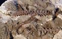 Ανακαλύφθηκε ερπετό πρόγονος του πτερόσαυρου που έζησε πριν από 237 εκατ. χρόνια