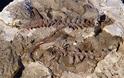 Ανακαλύφθηκε ερπετό πρόγονος του πτερόσαυρου που έζησε πριν από 237 εκατ. χρόνια - Φωτογραφία 2