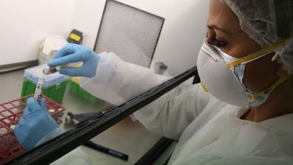 O κοροναϊός επιδρά στο DNA όπως ο HIV. Αν ισχύει, τότε και τα εμβόλια κάνουν το ίδιο; - Φωτογραφία 1