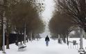 «Ντύθηκε» στα «λευκά» η Νέα Υόρκη - Χιονοθύελλα έπληξε τις βορειοανατολικές των ΗΠΑ - Φωτογραφία 7