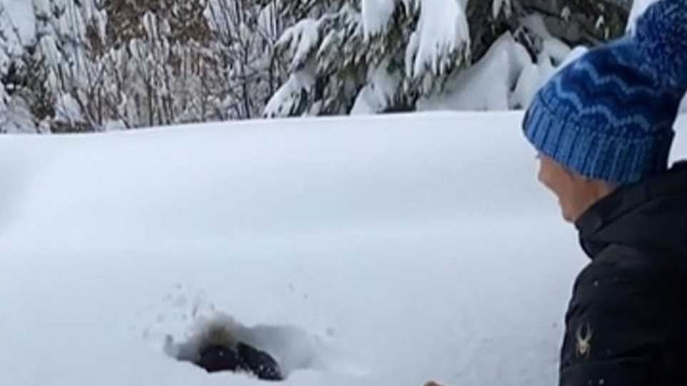 ΗΠΑ: Στο στόχαστρο Ολυμπιονίκης του σκι επειδή έπαιζε με τον γιο της πετώντας τον στο χιόνι - Φωτογραφία 1