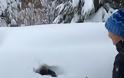 ΗΠΑ: Στο στόχαστρο Ολυμπιονίκης του σκι επειδή έπαιζε με τον γιο της πετώντας τον στο χιόνι
