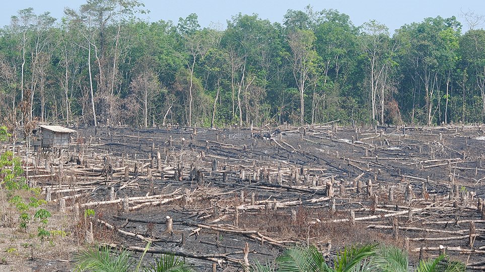 Δραματική πρόβλεψη για τον Αμαζόνιο: Το τροπικό δάσος κινδυνεύει να μετατραπεί σε σαβάνα - Φωτογραφία 1