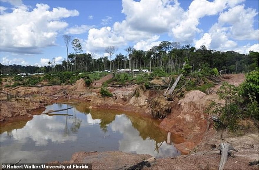 Δραματική πρόβλεψη για τον Αμαζόνιο: Το τροπικό δάσος κινδυνεύει να μετατραπεί σε σαβάνα - Φωτογραφία 4