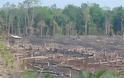 Δραματική πρόβλεψη για τον Αμαζόνιο: Το τροπικό δάσος κινδυνεύει να μετατραπεί σε σαβάνα - Φωτογραφία 2