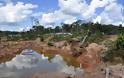 Δραματική πρόβλεψη για τον Αμαζόνιο: Το τροπικό δάσος κινδυνεύει να μετατραπεί σε σαβάνα - Φωτογραφία 4