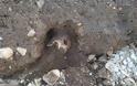 Χανιά: Θρίλερ με σκελετό στο νησάκι της Παλαιοσούδας - Φωτογραφία 3