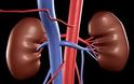 Ποια τα σημάδια ότι οι νεφροί ΔΕΝ λειτουργούν φυσιολογικά; Χρόνια Νεφρική Ανεπάρκεια - Φωτογραφία 2