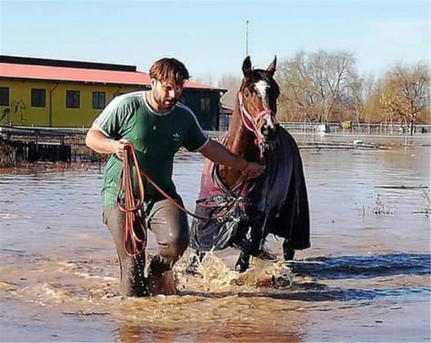 Σέρρες: Πρώην βουλευτής διασώζει άλογα που κινδύνευαν με πνιγμό - Φωτογραφία 1
