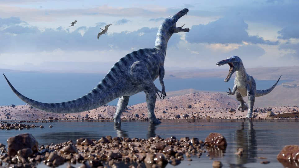 Οι κροκόδειλοι «νίκησαν» τους δεινόσαυρους: Πώς επιβίωσαν από την πτώση μετεωρίτη πριν 66 εκατ. χρόνια  VIDEO - Φωτογραφία 1