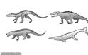 Οι κροκόδειλοι «νίκησαν» τους δεινόσαυρους: Πώς επιβίωσαν από την πτώση μετεωρίτη πριν 66 εκατ. χρόνια  VIDEO - Φωτογραφία 2