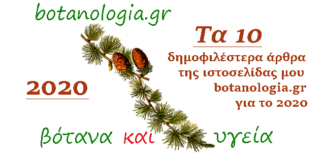 Τα 10 δημοφιλέστερα άρθρα της ιστοσελίδας μου botanologia.gr για το 2020 - Φωτογραφία 1