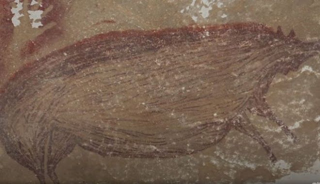 Ινδονησία: Αγριόχοιρος 50 χιλιάδων ετών - Αυτή είναι η αρχαιότερη σπηλαιογραφία ζώων - Φωτογραφία 1