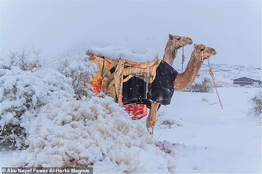 BINTEO.Χιόνισε στη Σαχάρα - Στους -2 βαθμούς η θερμοκρασία στη Σαουδική Αραβία - Φωτογραφία 1