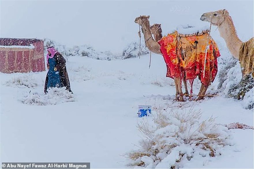 BINTEO.Χιόνισε στη Σαχάρα - Στους -2 βαθμούς η θερμοκρασία στη Σαουδική Αραβία - Φωτογραφία 5