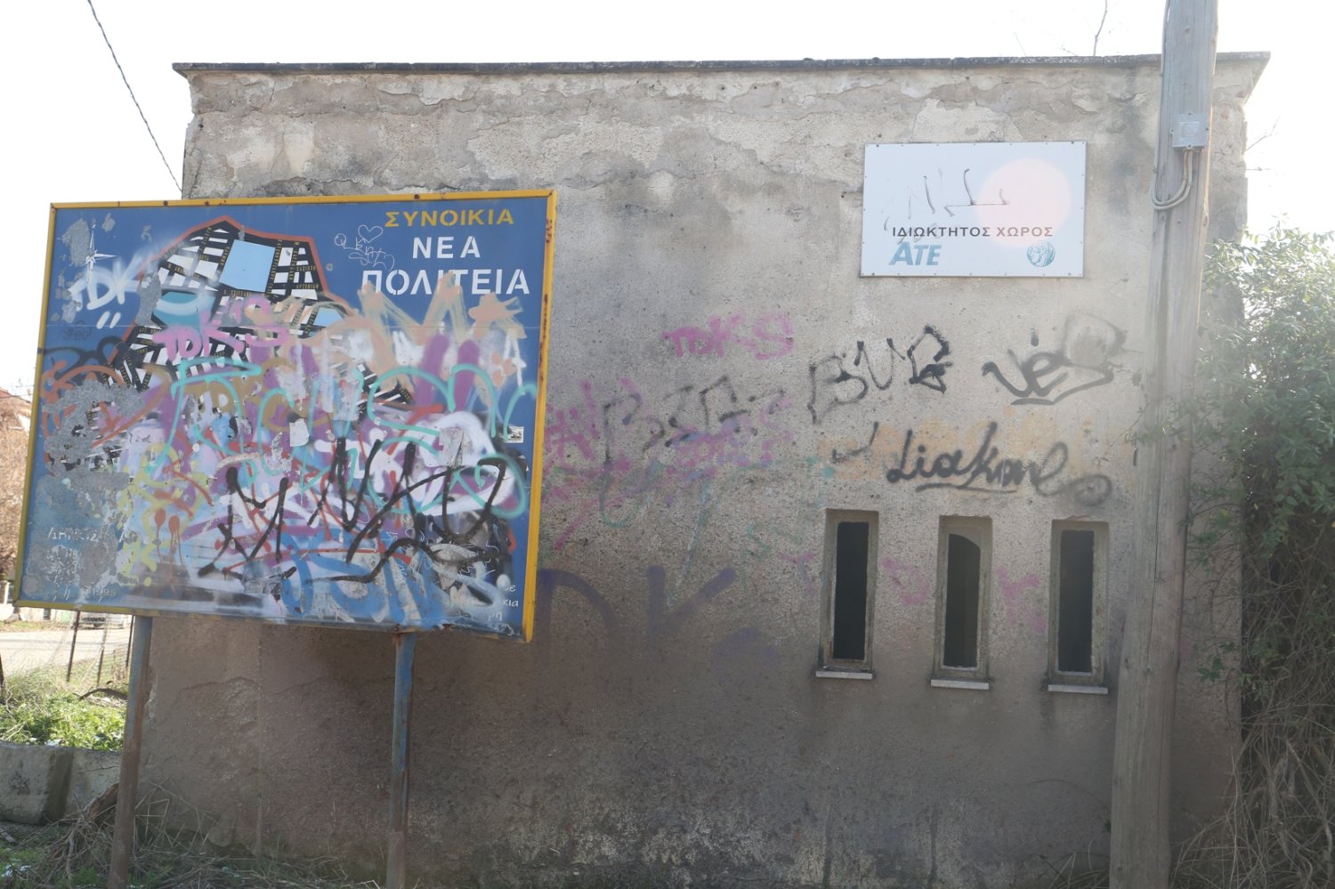 «Ξέφραγο αμπέλι» οι παλιές αποθήκες του ΟΣΕ στη Λάρισα. Εικόνες. - Φωτογραφία 2