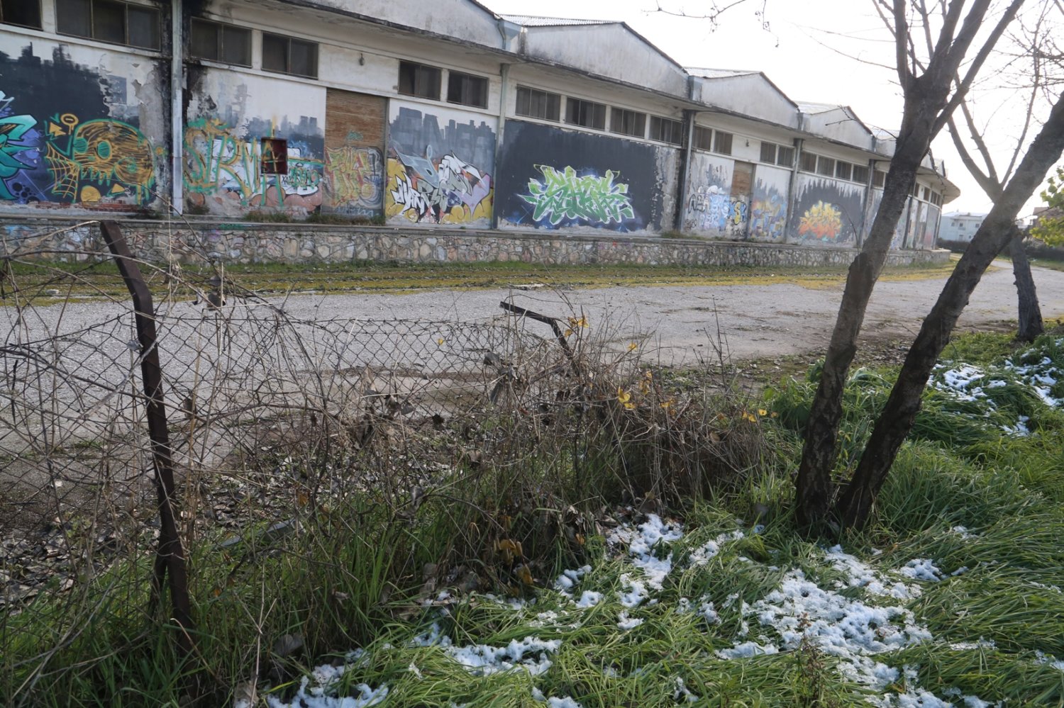 «Ξέφραγο αμπέλι» οι παλιές αποθήκες του ΟΣΕ στη Λάρισα. Εικόνες. - Φωτογραφία 5
