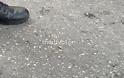 Θεσσαλονίκη: Πυροβολισμοί στη μέση του δρόμου – Συναγερμός στην Αστυνομία (βίντεο) - Φωτογραφία 4