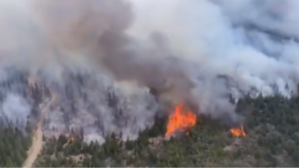 Μεγάλη πυρκαγιά στην Αργεντινή: 65.000 στρέμματα δασικών εκτάσεων έγιναν στάχτη στον νότο - Φωτογραφία 1