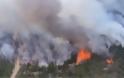 Μεγάλη πυρκαγιά στην Αργεντινή: 65.000 στρέμματα δασικών εκτάσεων έγιναν στάχτη στον νότο