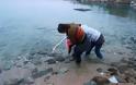 Ν. Ποτίδαια: Έσωσαν φλαμίνγκο από τα πλοκάμια χταποδιού - Φωτογραφία 3